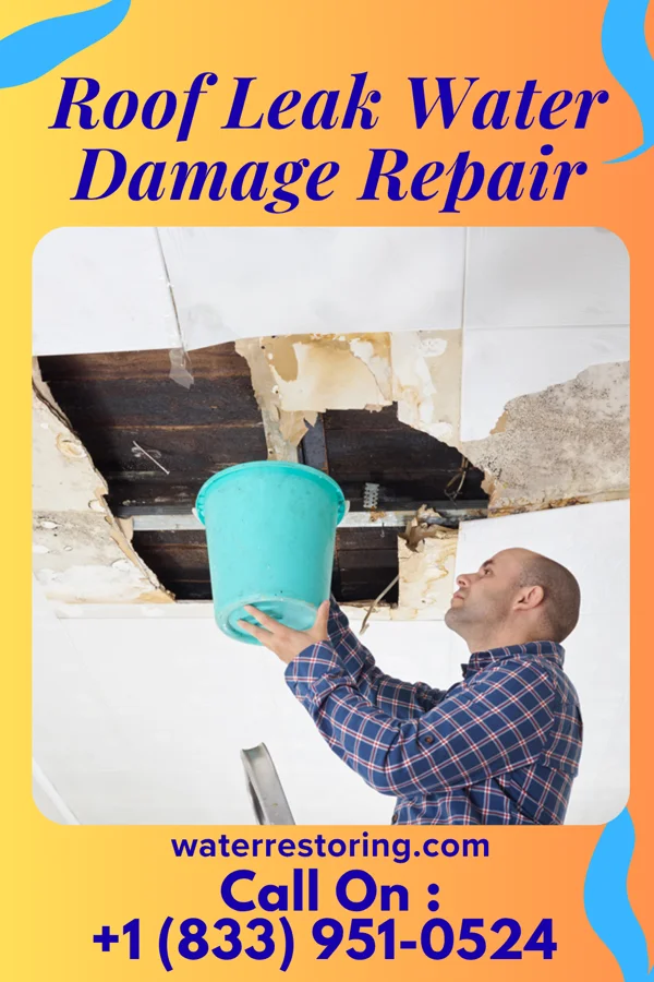 Roof Leak Water Damage Repair in Plato, MO